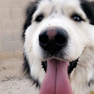 Meet your Posher, Aleida